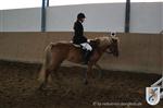 Reitertag 26.08.2012 154.JPG