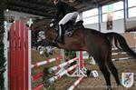 Reitertag 26.08.2012 156.JPG