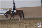Reitertag 26.08.2012 179.JPG