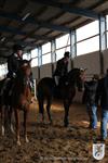 Reitertag 26.08.2012 189.JPG