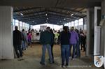 Reitertag 26.08.2012 274.JPG
