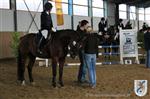 Reitertag 26.08.2012 278.JPG