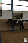 Reitertag 26.08.2012 306.JPG