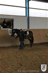 Reitertag 26.08.2012 309.JPG