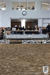 Reitertag 26.08.2012 318.JPG