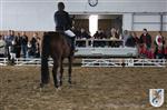 Reitertag 26.08.2012 319.JPG