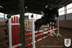 Reitertag 26.08.2012 326.JPG