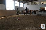 Reitertag 26.08.2012 336.JPG