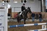 Reitertag 26.08.2012 352.JPG