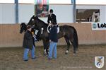 Reitertag 26.08.2012 354.JPG